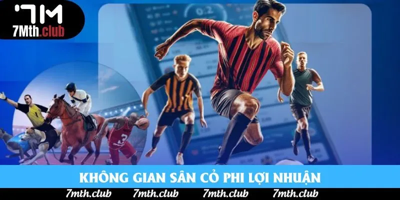 Không gian sân cỏ phi lợi nhuận Không gian sân cỏ phi lợi nhuận