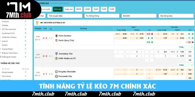 Tính năng tỷ lệ kèo 7M chính xác Tính năng tỷ lệ kèo 7M chính xác