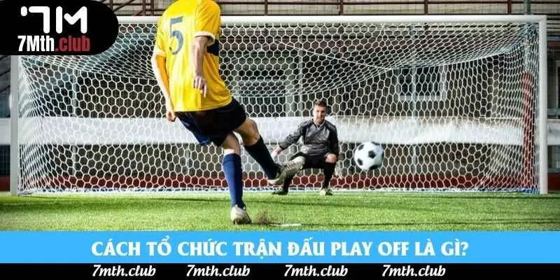 Cách tổ chức trận đấu Play off là gì? Cách tổ chức trận đấu Play off là gì?