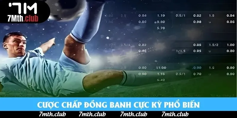 Cược chấp đồng banh cực kỳ phổ biến Cược chấp đồng banh cực kỳ phổ biến