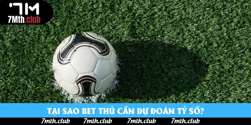 Tại sao bet thủ cần dự đoán tỷ số? Tại sao bet thủ cần dự đoán tỷ số?