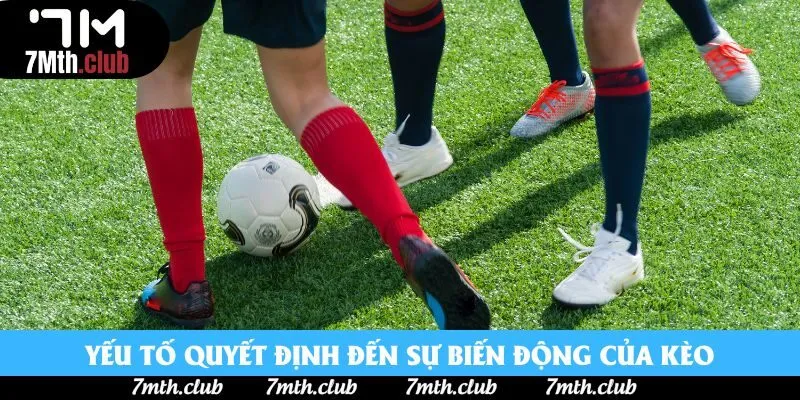 Yếu tố quyết định đến sự biến động của kèo Yếu tố quyết định đến sự biến động của kèo