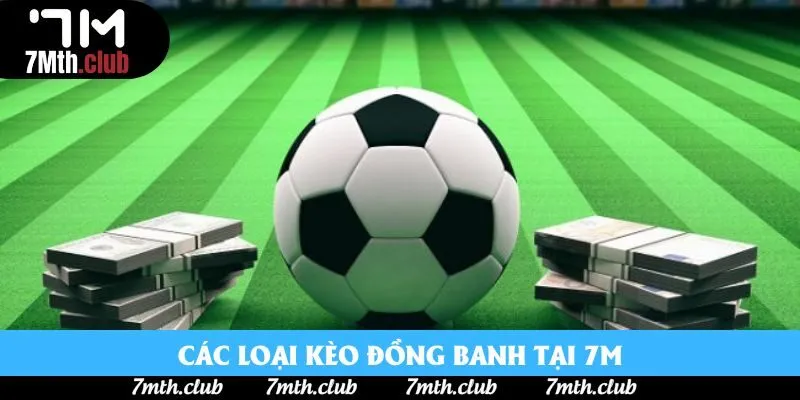 Các loại kèo đồng banh tại 7M Các loại kèo đồng banh tại 7M