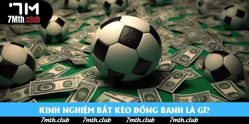 Kinh nghiệm bắt kèo đồng banh là gì? Kinh nghiệm bắt kèo đồng banh là gì?