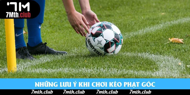 Những lưu ý không thể bỏ qua Những lưu ý không thể bỏ qua