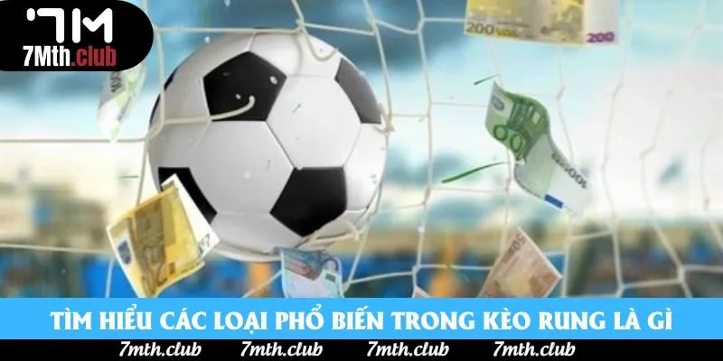 Tìm hiểu các loại phổ biến trong kèo rung là gì Tìm hiểu các loại phổ biến trong kèo rung là gì