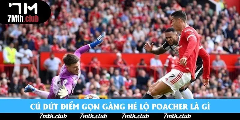 Cú dứt điểm gọn gàng hé lộ poacher là gì Cú dứt điểm gọn gàng hé lộ poacher là gì
