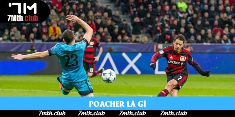 Poacher là gì? 4 Dấu Ấn Tiêu Biểu Của Những Sát Thủ 16m50