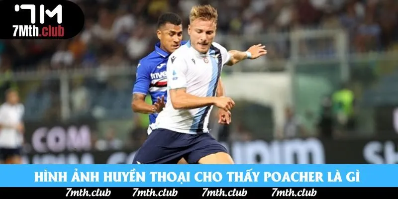 Hình ảnh huyền thoại cho thấy “Poacher là gì” thực thụ Hình ảnh huyền thoại cho thấy “Poacher là gì” thực thụ